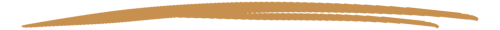 Layer 13(2)(1)